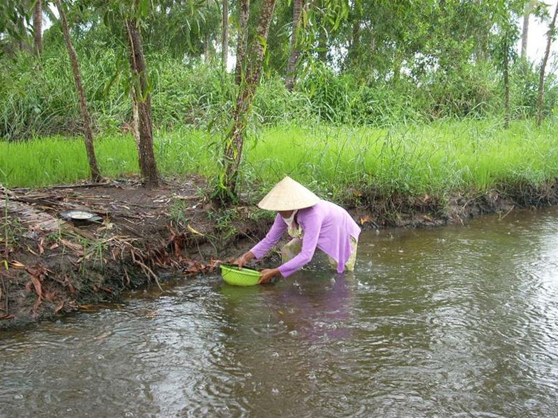 Mỗi năm mất hàng ngàn tỷ đồng vì dịch bệnh thủy sản