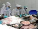Ngành thủy sản tìm hướng phát triển bền vững