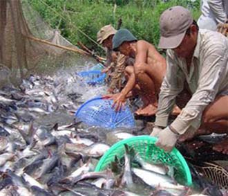 Phát triển thủy sản bền vững gắn với quyền lợi ngư dân