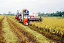 TP Hồ Chí Minh đưa nông nghiệp lên tầm cao mới